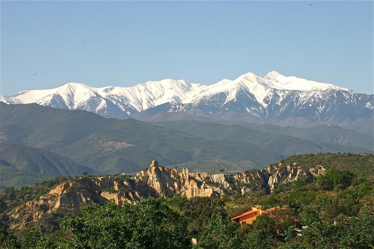 Gite Des Orgues De La Sybille Agave Canigou 외부 사진